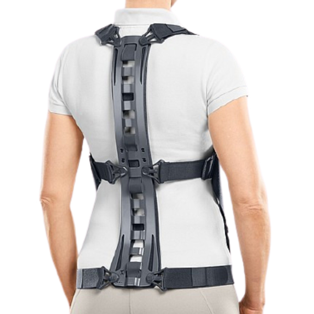 Oertoza për boshtin kurrizor dhe belin